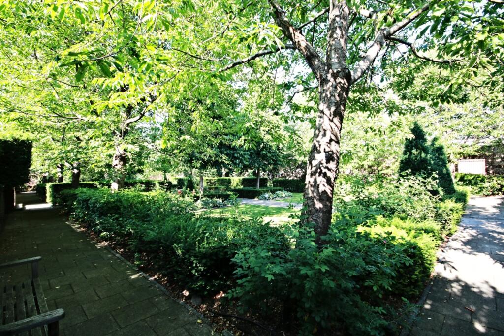 QMP - Rose Garden June 2025