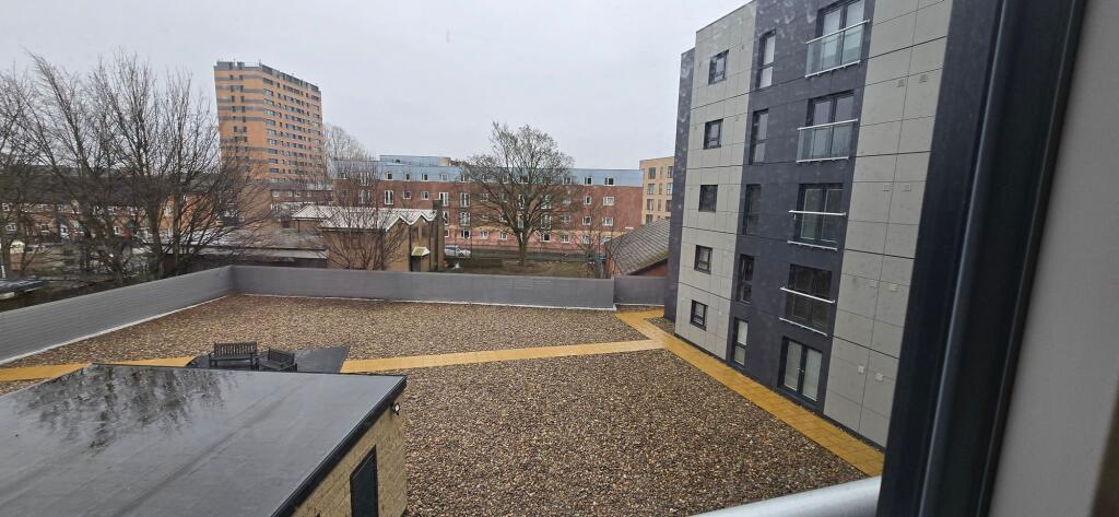 Rear Courtyard