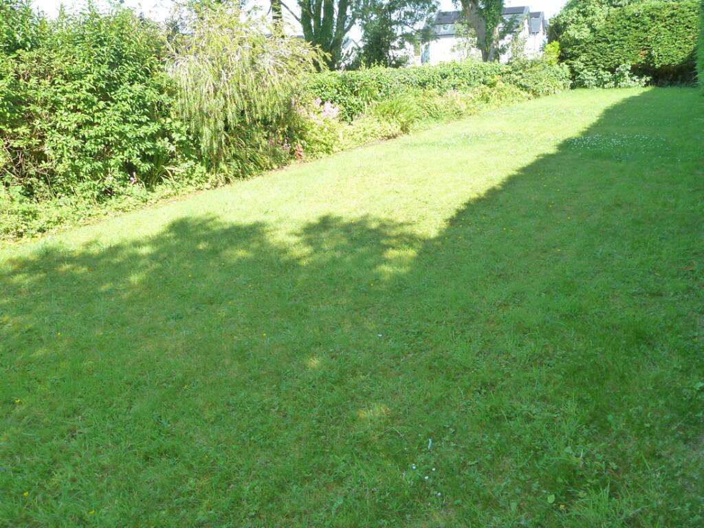 Private side garden