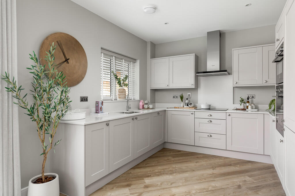 plot9knightsgreen...