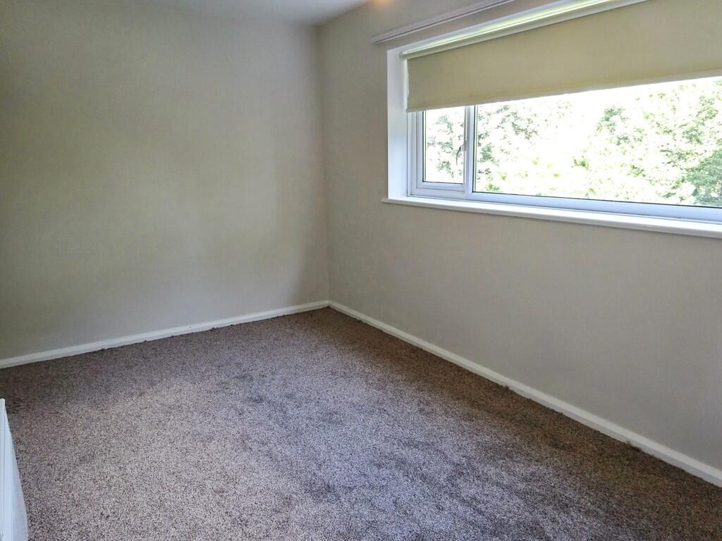 b20eb915-IMG_433_...