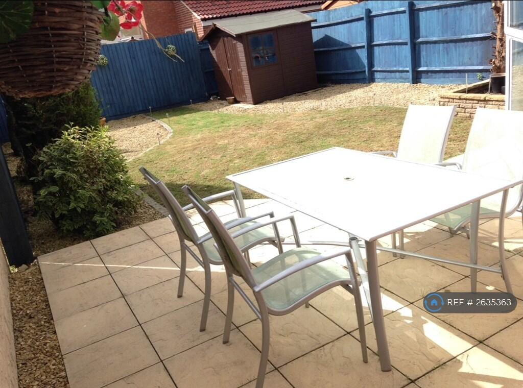 Back Garden