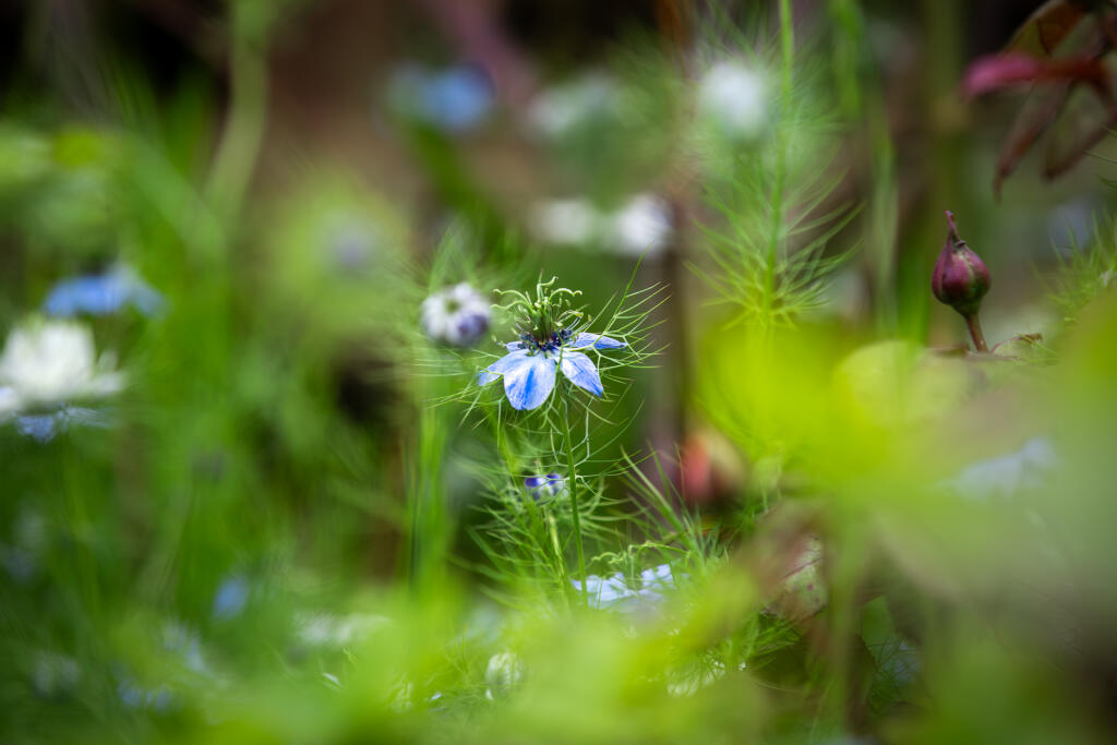 5F8A1371-Enhanced-NR