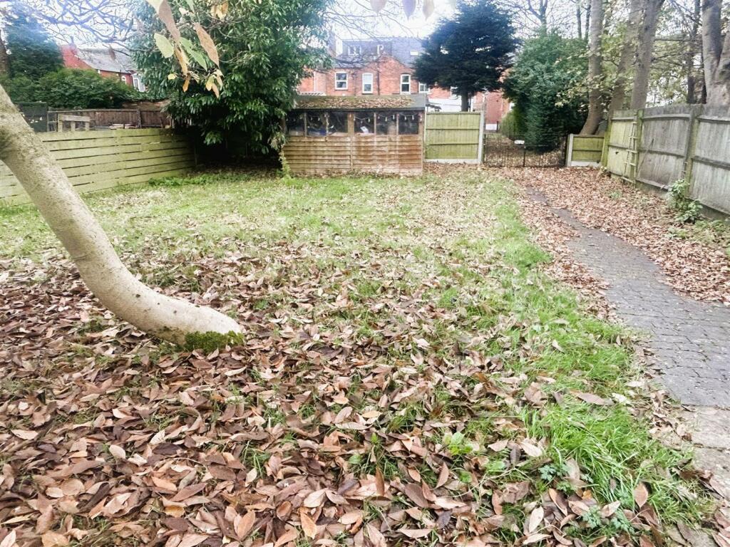 IMG_2563 (Large).jpg