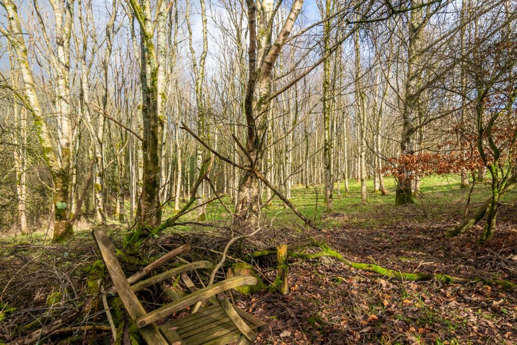 Local woodlands