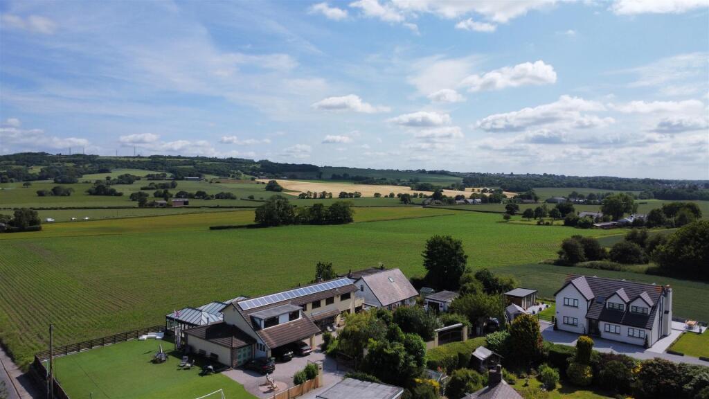 Red Cat Lane For Sale