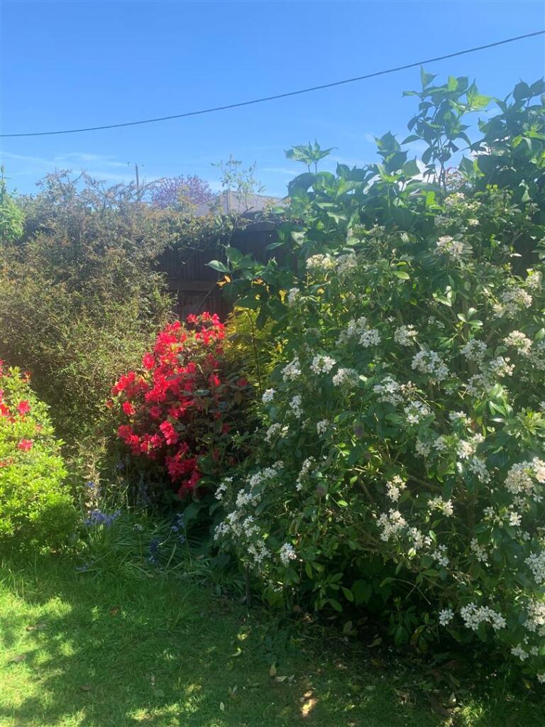 Vendor Summer Garden Photo