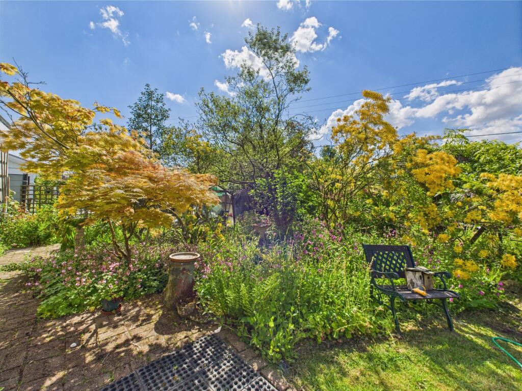 Back Garden