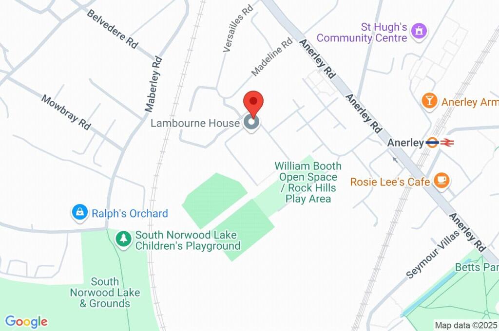 Google Maps Image