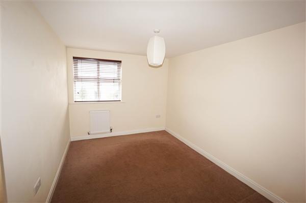 Photo8