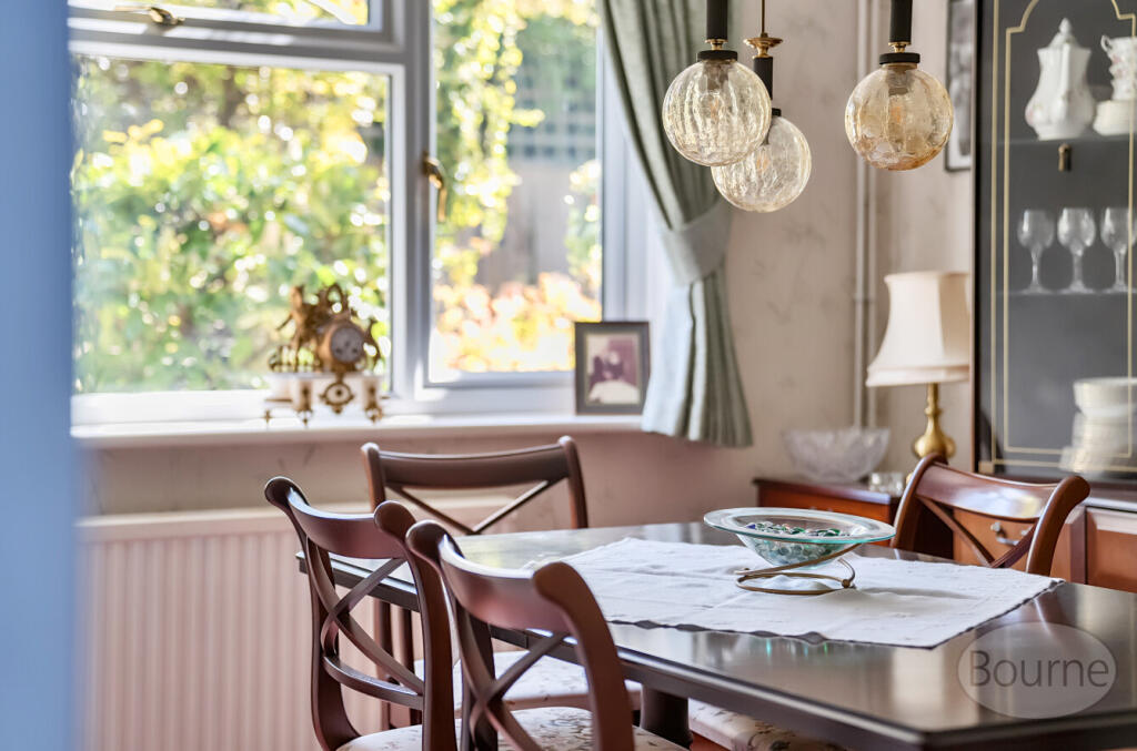 15a55656-d29a-495...