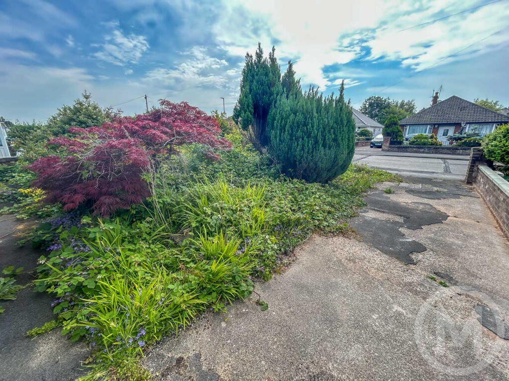 st albans 191 (5).JPG