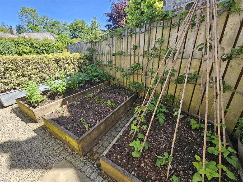 Veg Garden.jpg