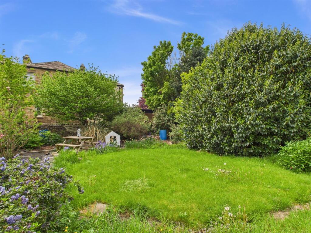 Garden 3.jpg