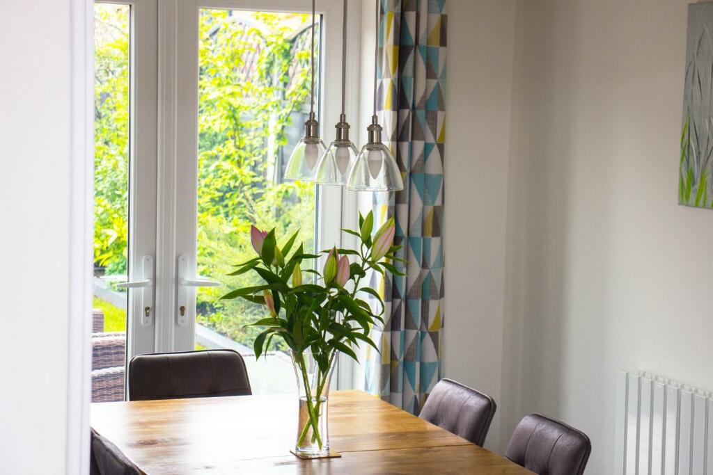 Aster Chase (29).jpg