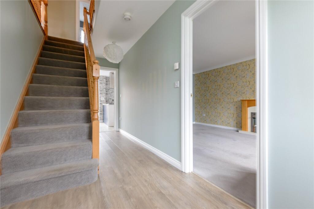 Hawk Crescent 3