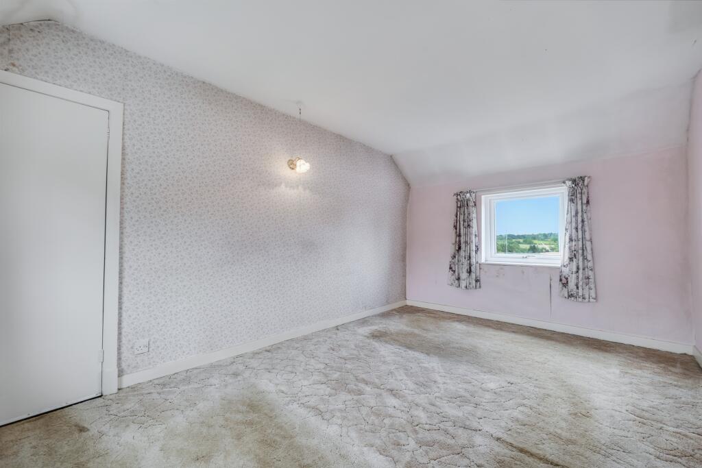 P1881919 T202508071131.jpeg