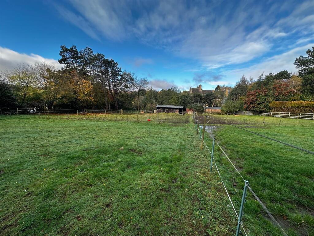 newfield 5.jpg