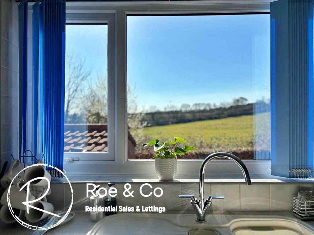 View from the kitchen