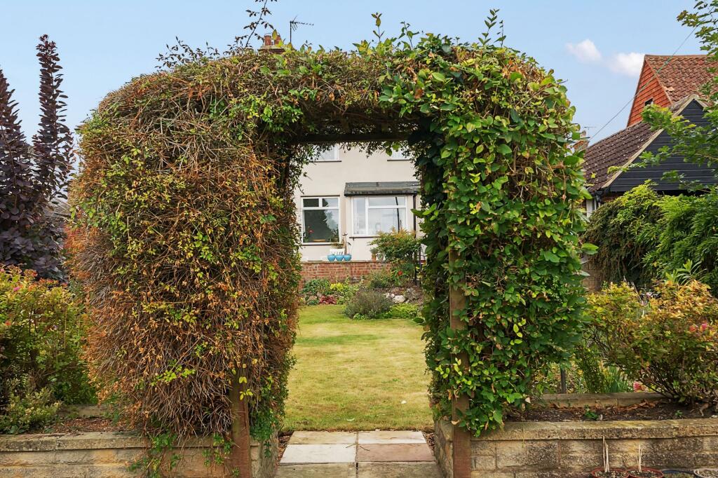 Garden (4)