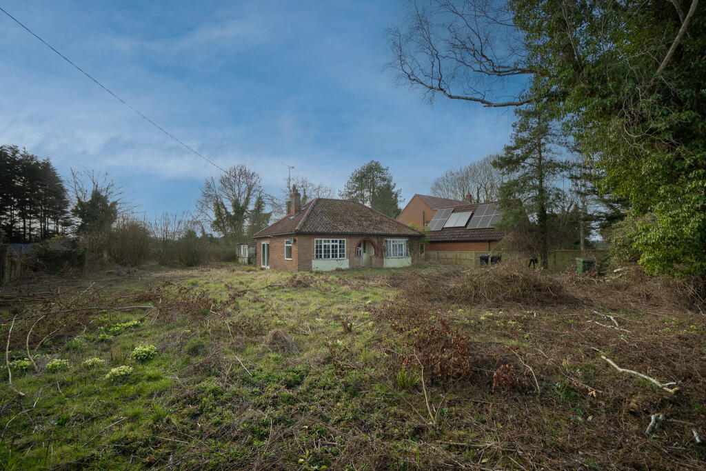 DSC00915 T202503141054.jpg