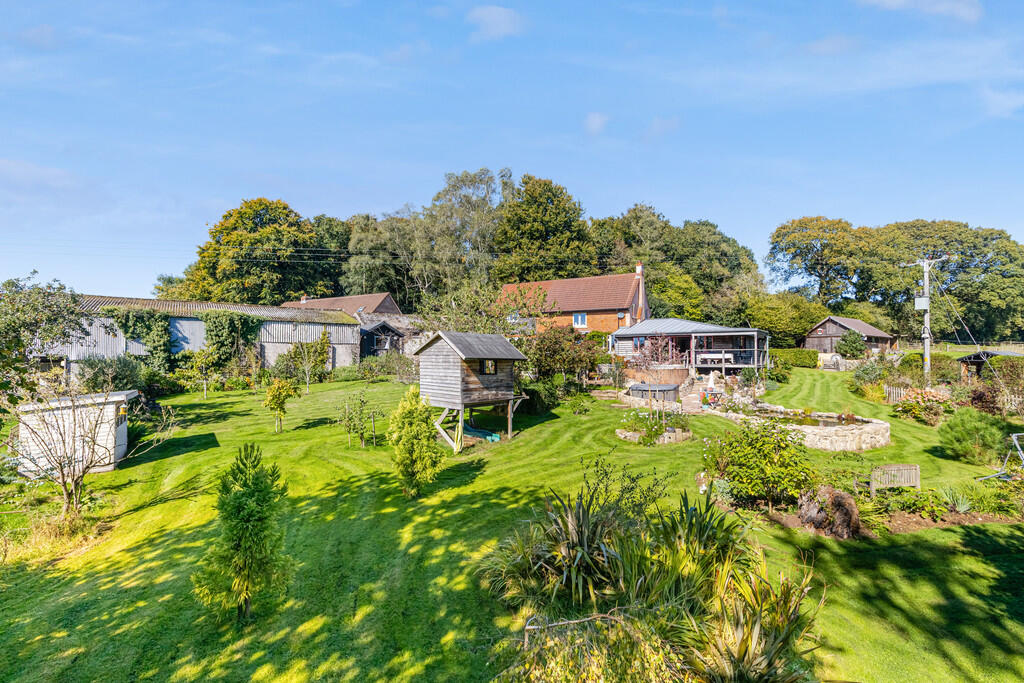 A14 - Cuckoo Down...