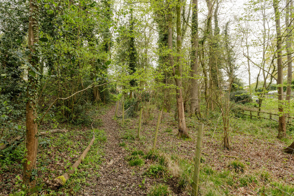 278220 - 20250415-CHURCH-RD_STEEP-43_HI_RES.JPG