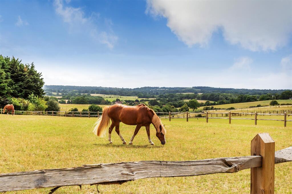 house. Partnership S