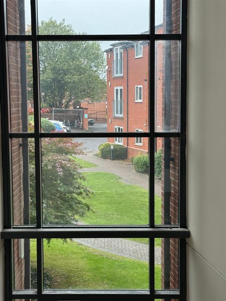 connextion view.jpeg