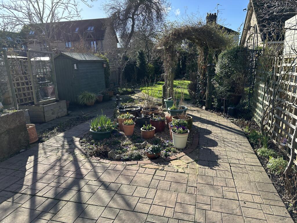 Garden 4.JPG
