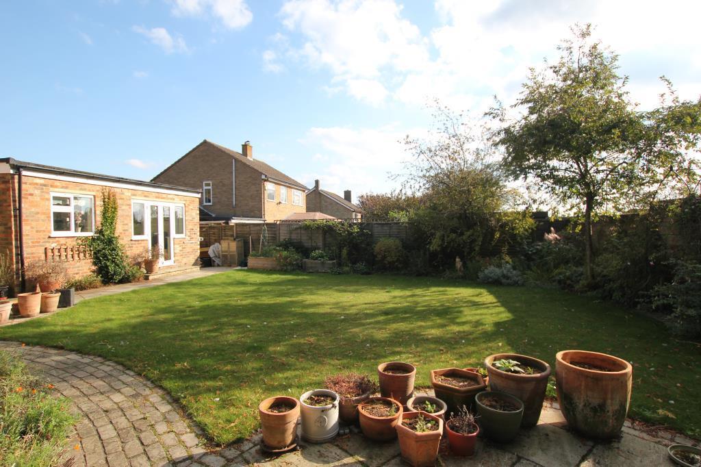 garden1.JPG
