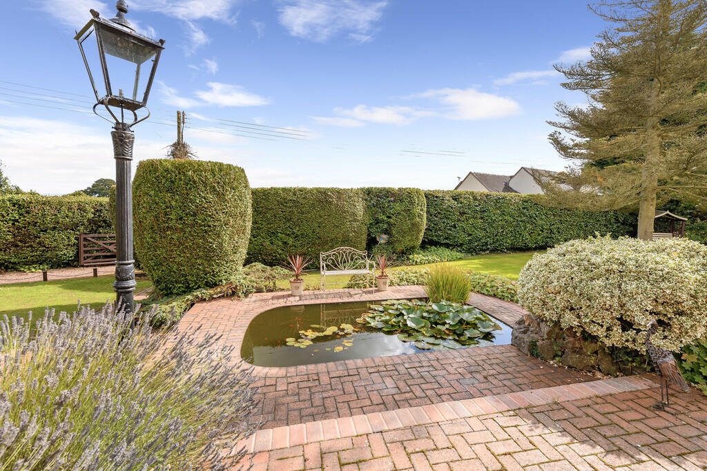 Garden Pond 