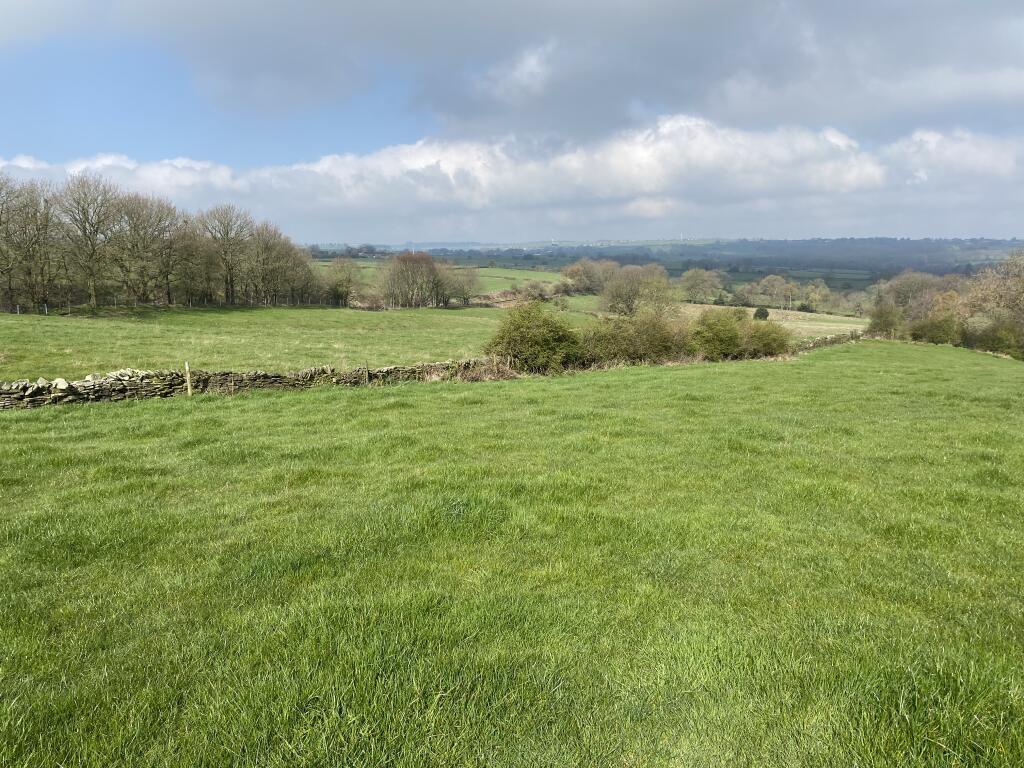 Grassland
