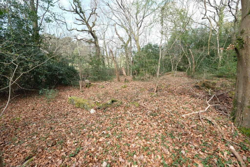 WOODLAND 