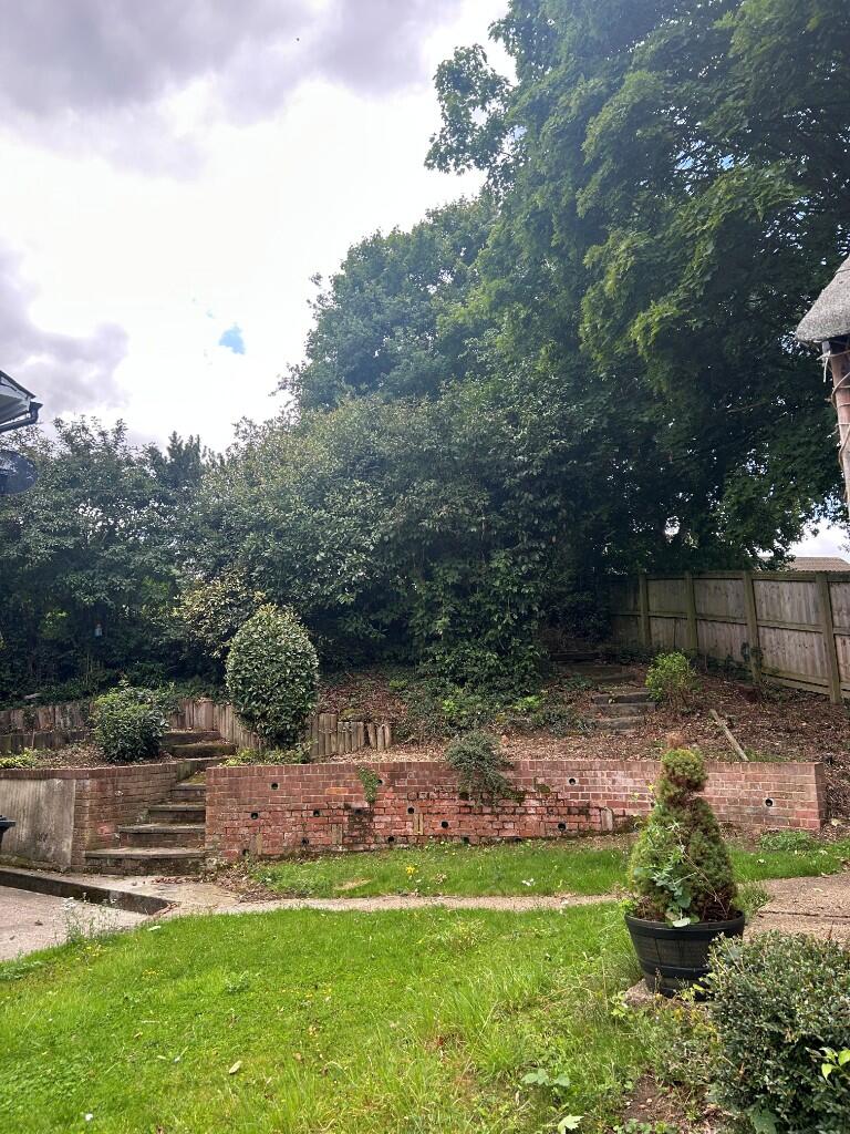 Back Garden