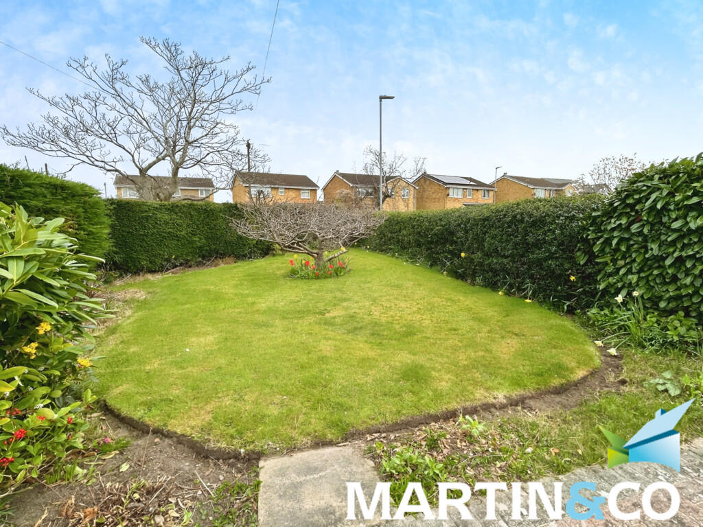 b45b6f62-IMG-2025...