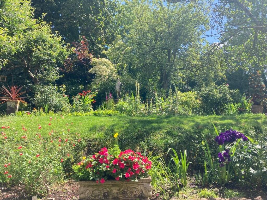 garden - client photo.jpg