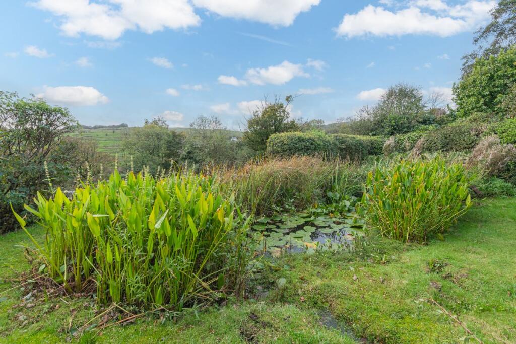 Pond