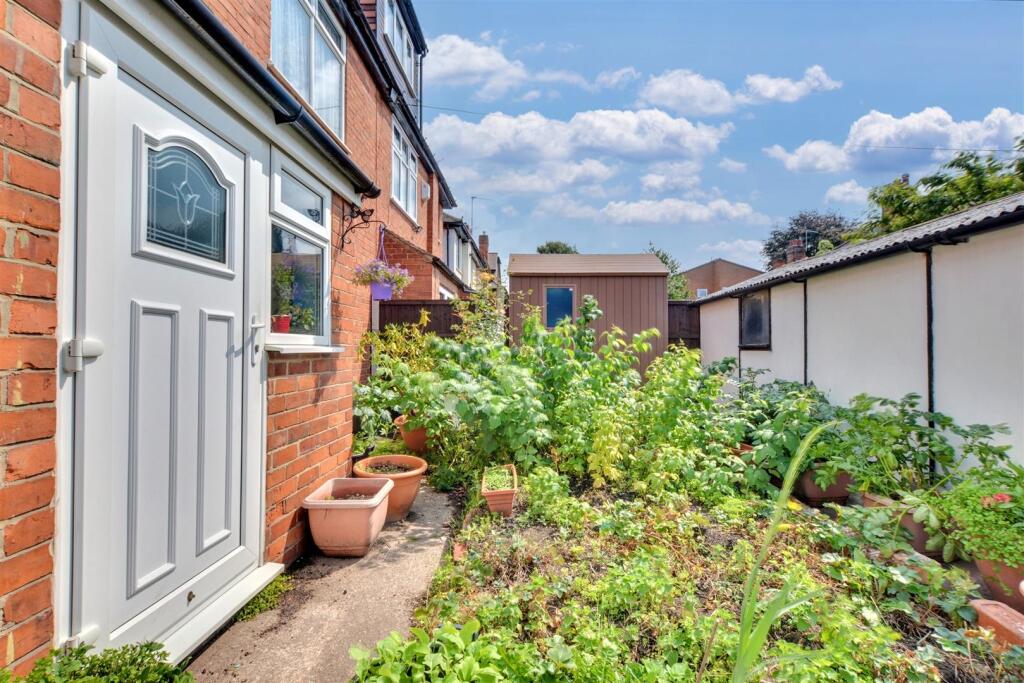 Garden_ (1).jpeg