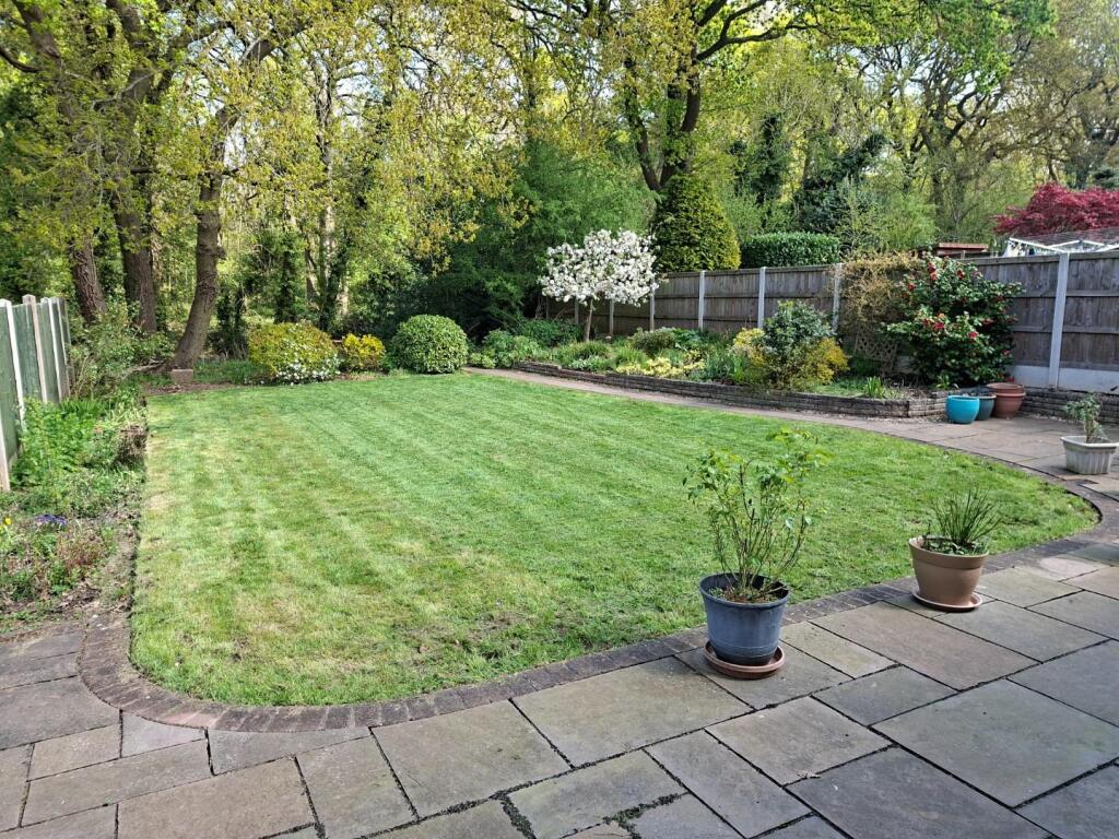 Back Garden 2.jpg