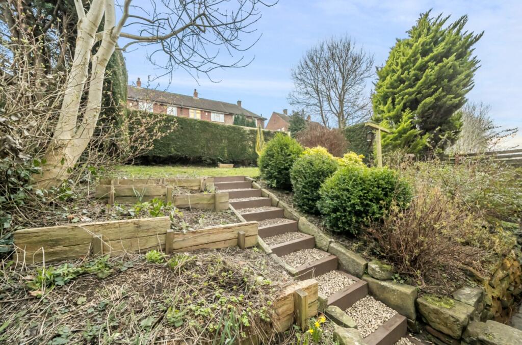 Back garden