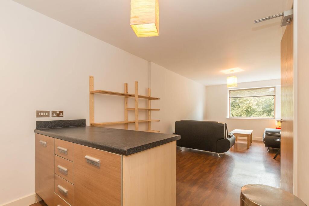 Kitchen/Living Area