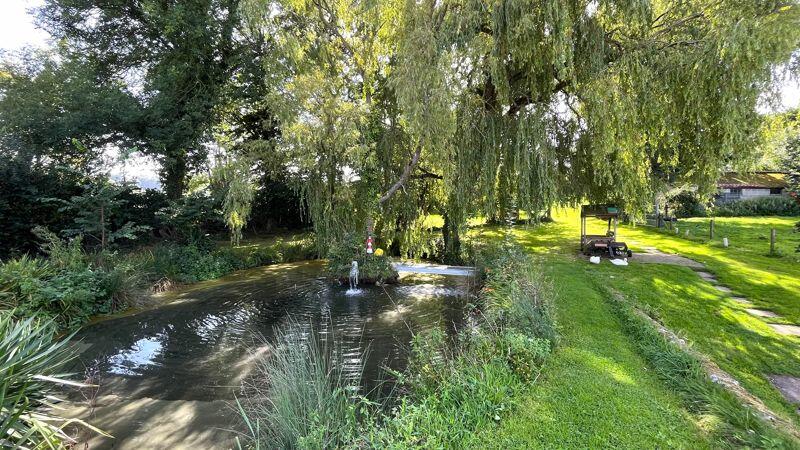 Pond