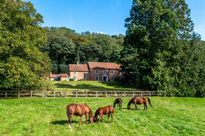 Front Elevation &amp; Paddock
