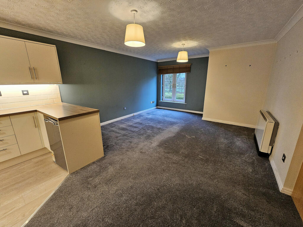 Open Plan Living Space