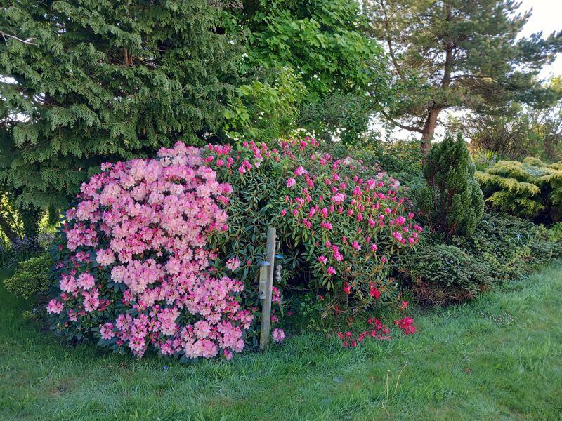 gardens in bloom