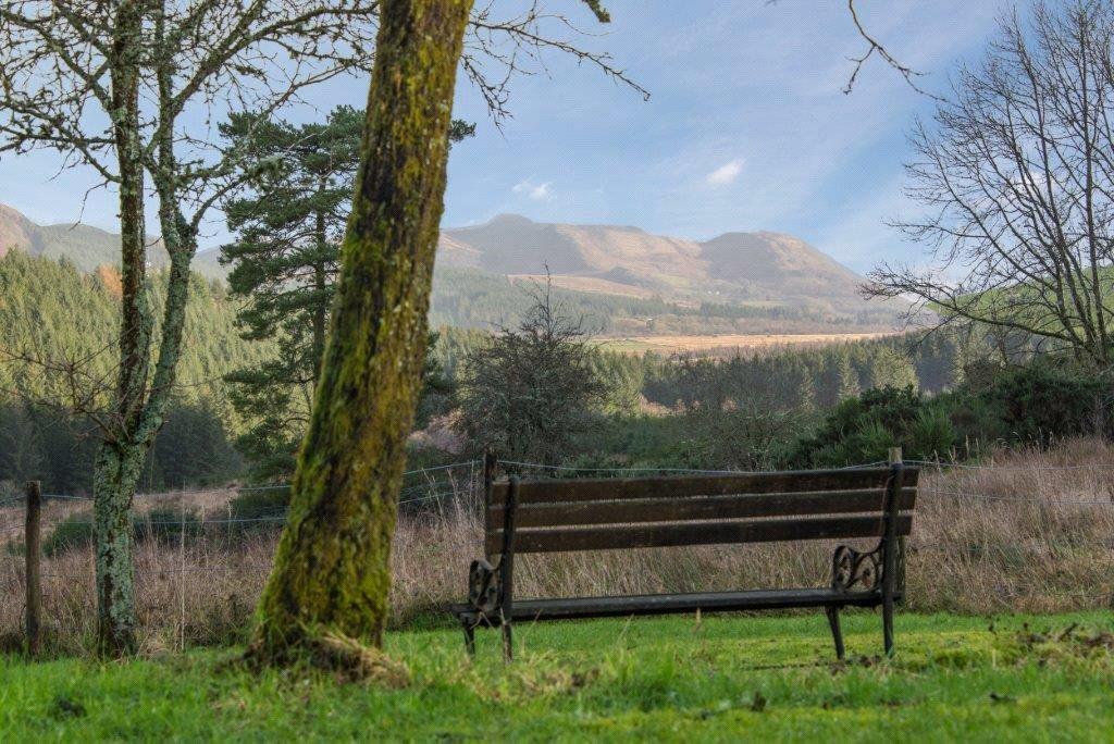 View Towards Hills
