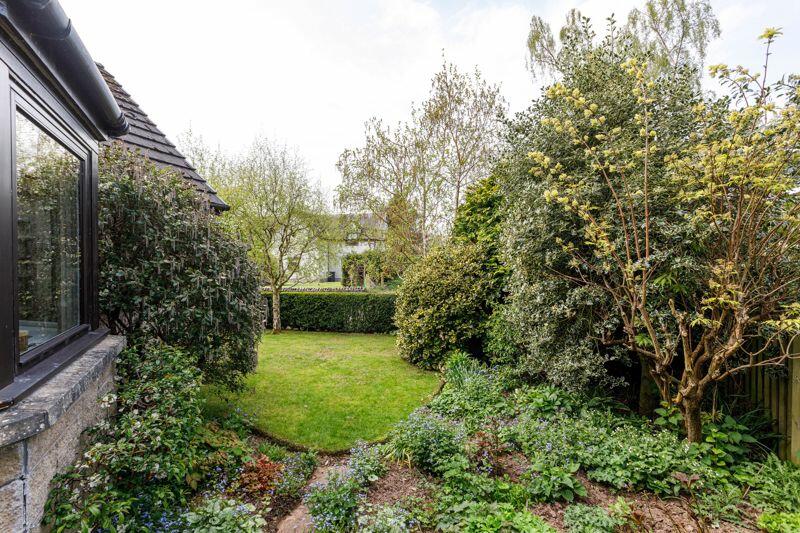 Side Garden 