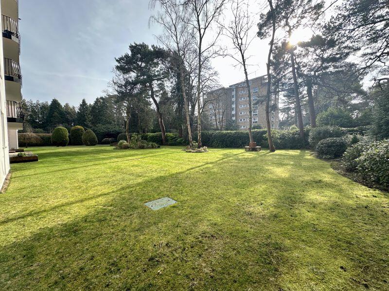 Communal Gardens