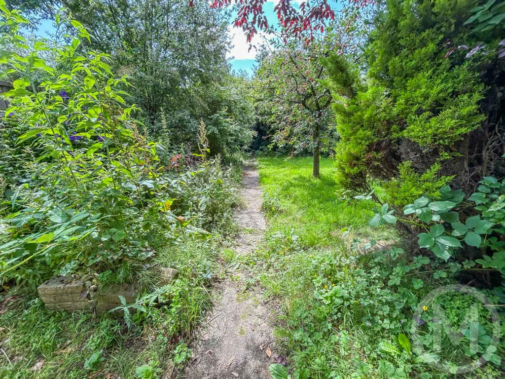 hammerton 17 (12).JPG